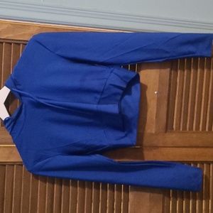 Small Shimmering Blue Top